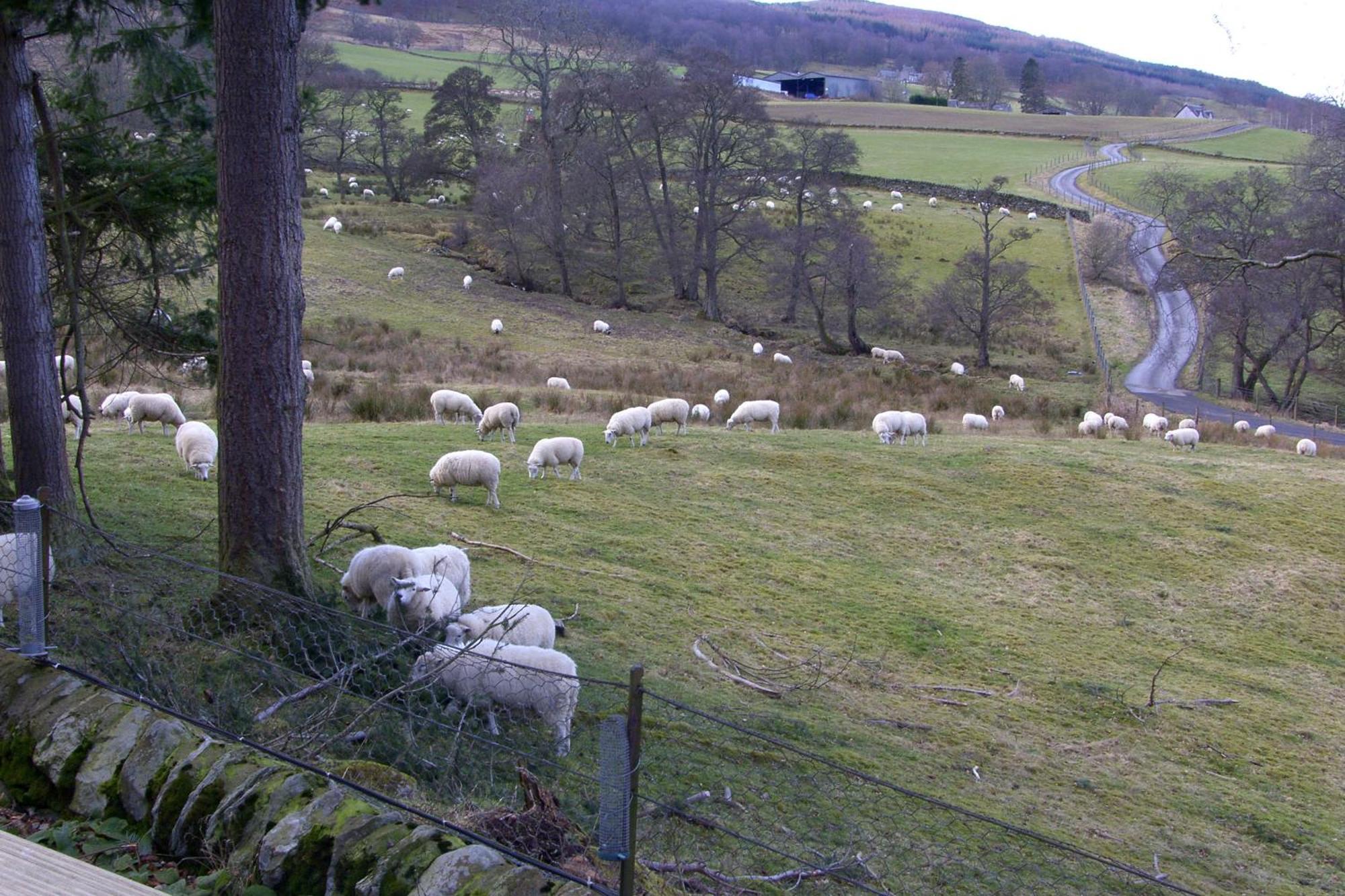 Bed and Breakfast Brae House Aberfeldy Exterior foto